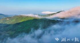 大悟：霞光万道破云出 云海千重绕山舞